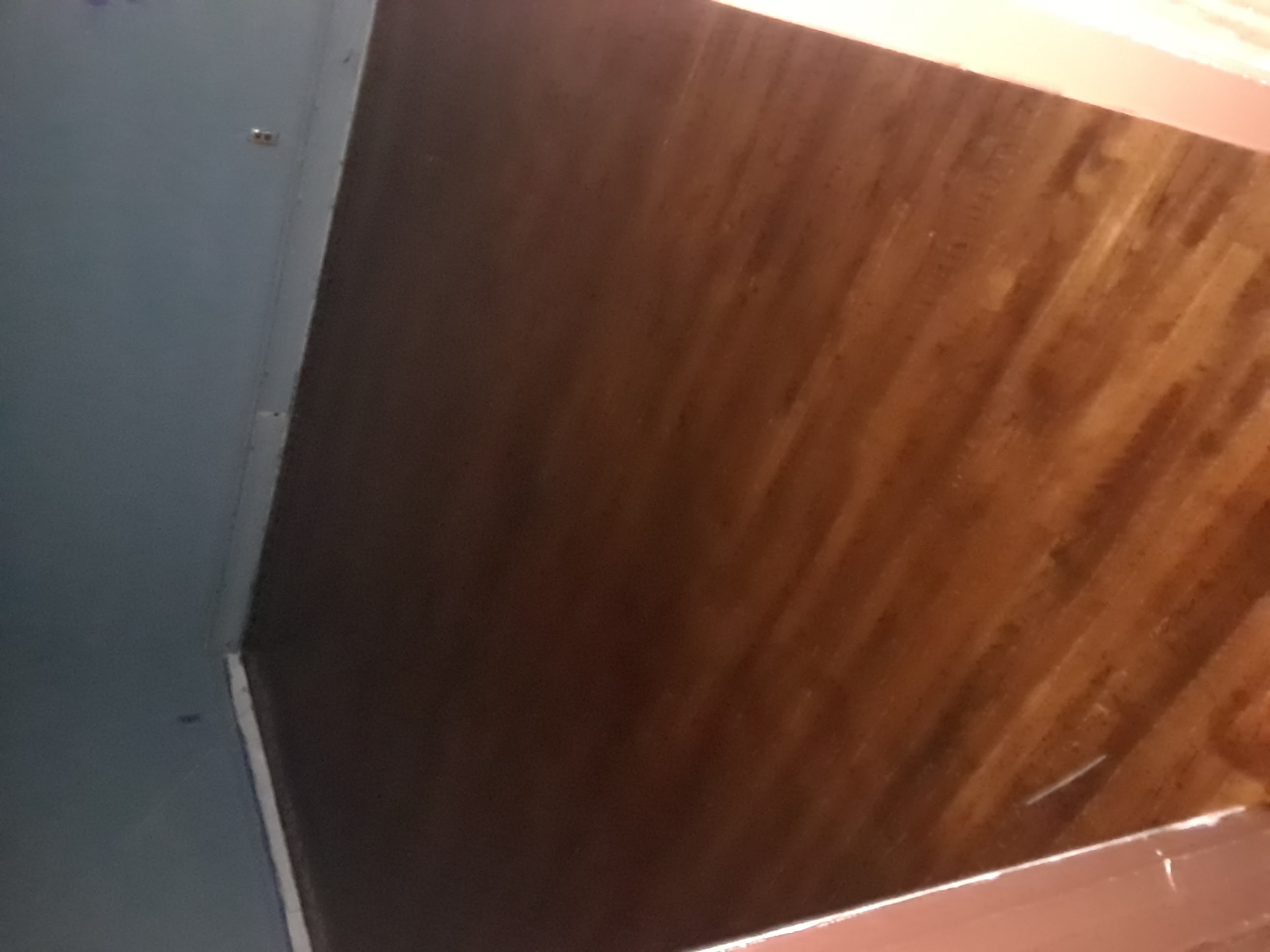 Varnished Hallway