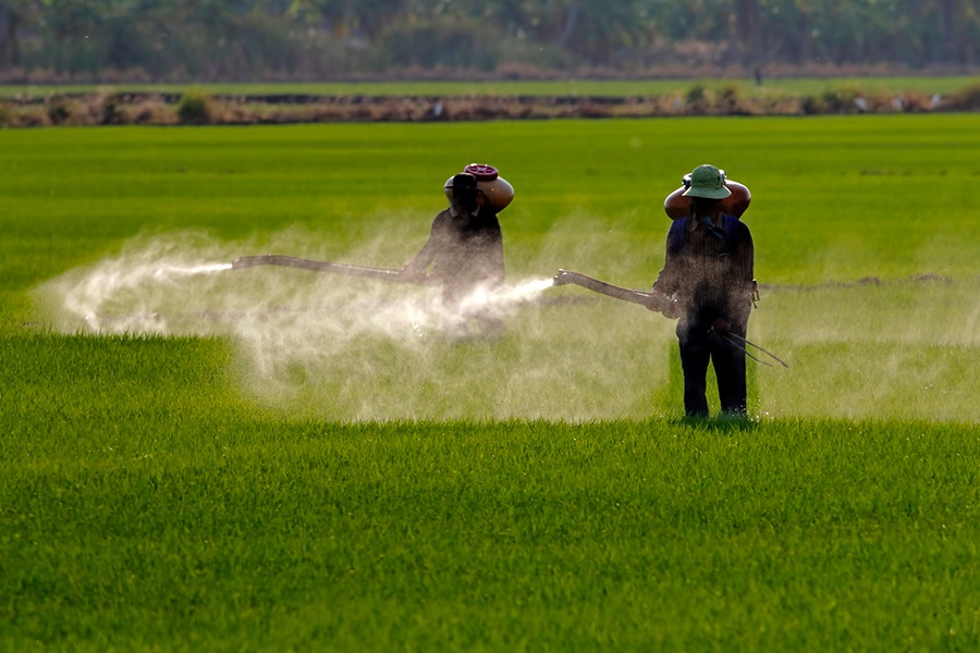 Productores de la Irrigación S.P.R de R.I. - Lixiviado 