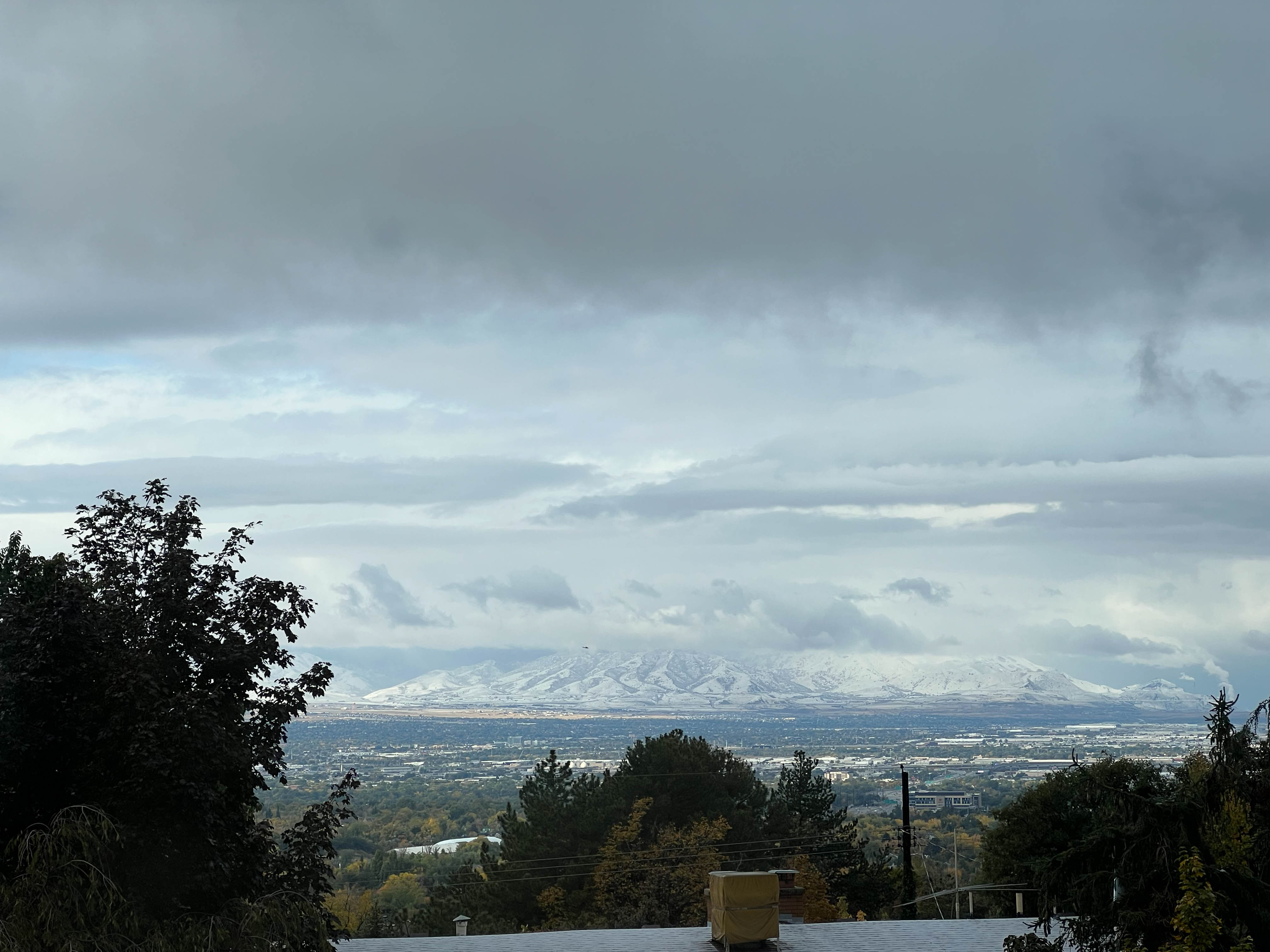 https://0201.nccdn.net/1_2/000/000/115/e5c/salt-lake-order-123.jpg