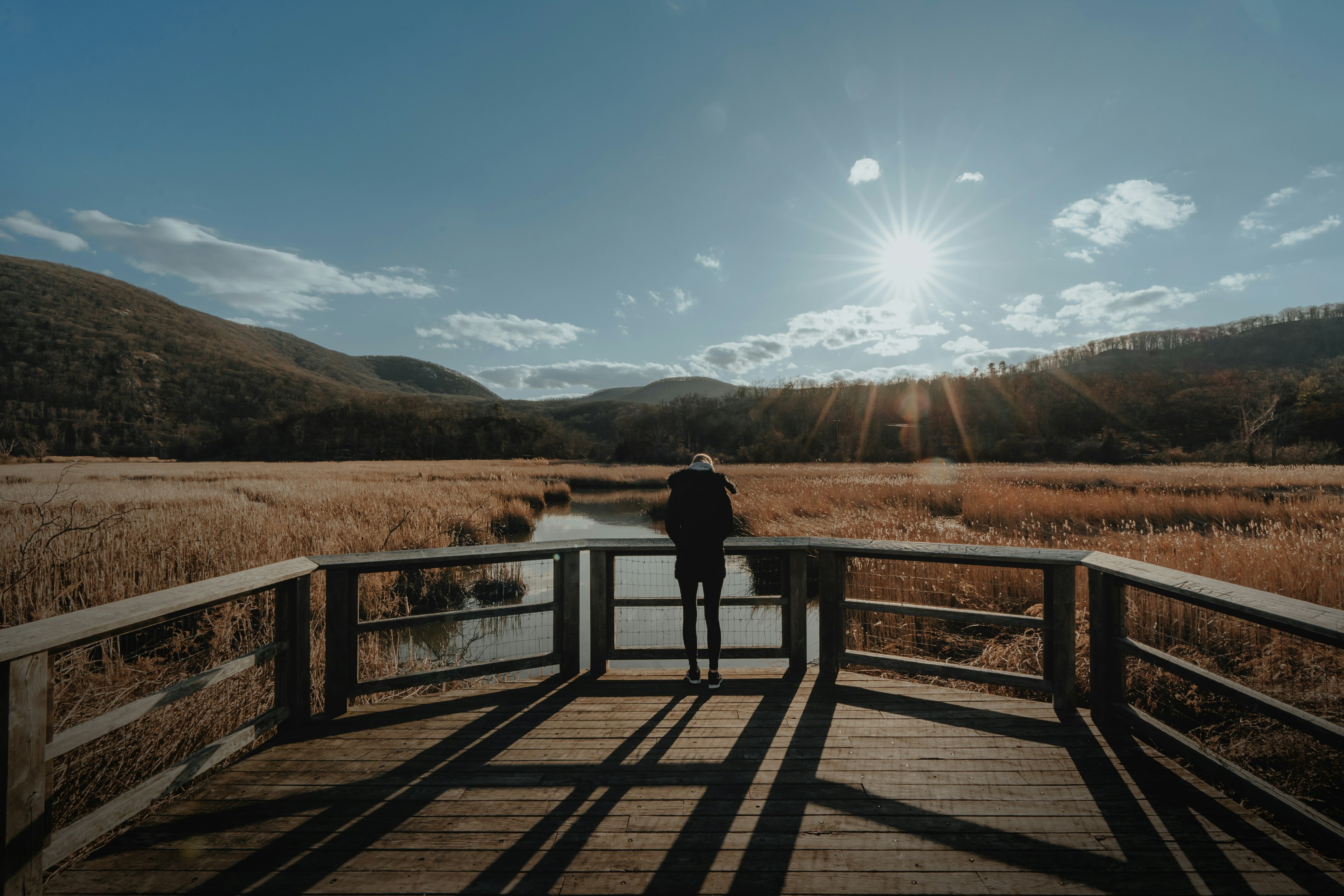 una persona de pie en un puente mirando un campo