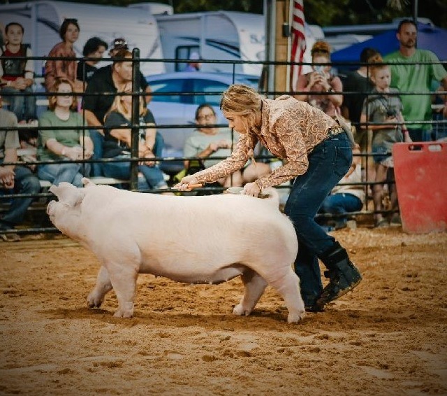 Lena Stricklin
2022 St. James Grape & Fall Festival
Champion Chester White Gilt
Supreme Overall Breeding Gilt