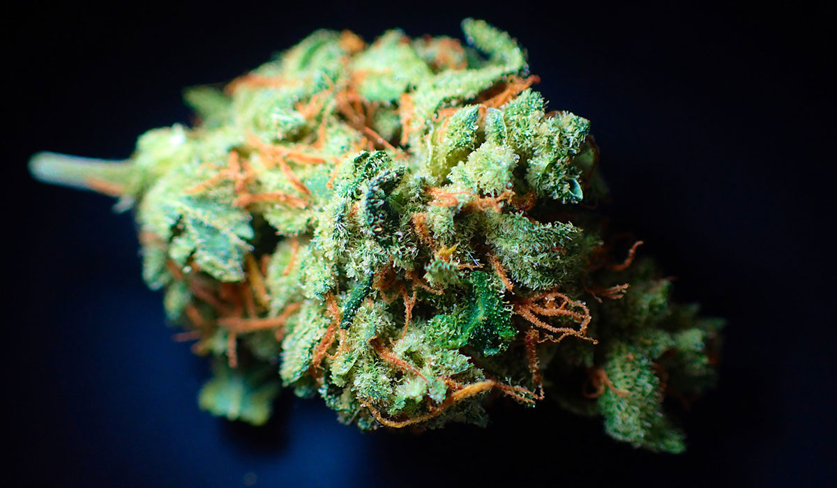 Addiction Bud