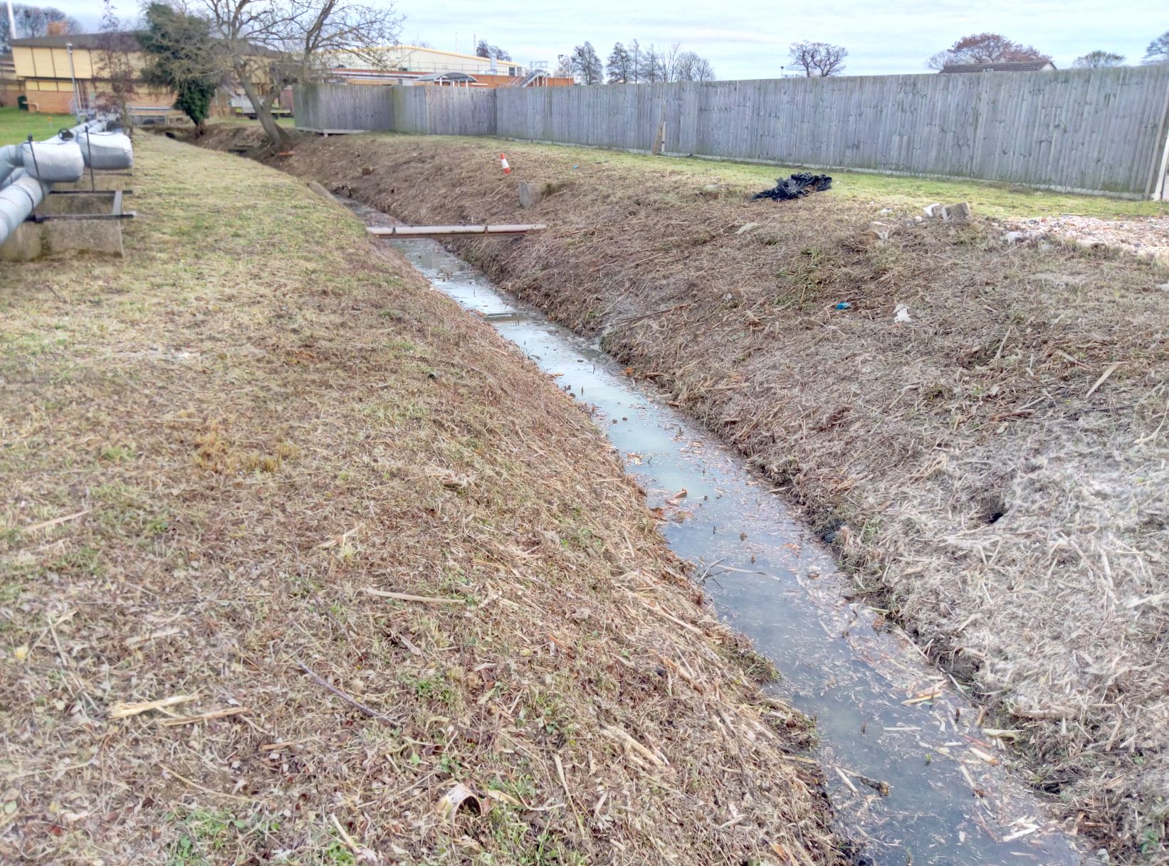 Scrub Clearance Cambridgeshire and Bedfordshire