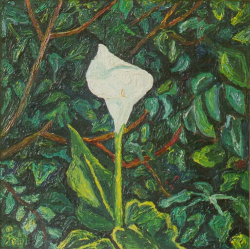 Op-002 CALLA FLAME 20 in x 20 in Oil on Linen private collection