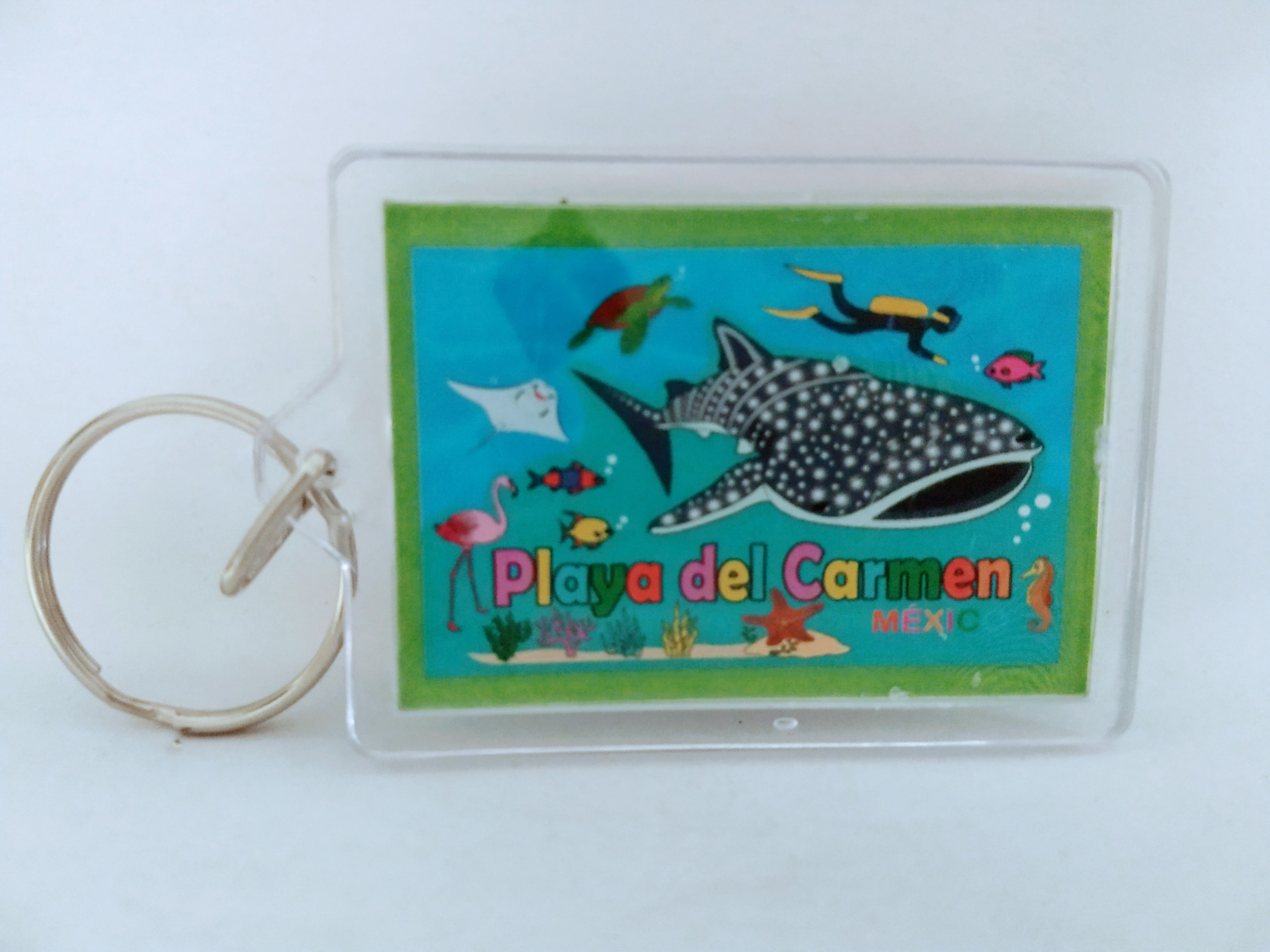 LLAVERO DOBLE VISTA
PLAYA DEL CARMEN
6cm Ancho
4cm Alto