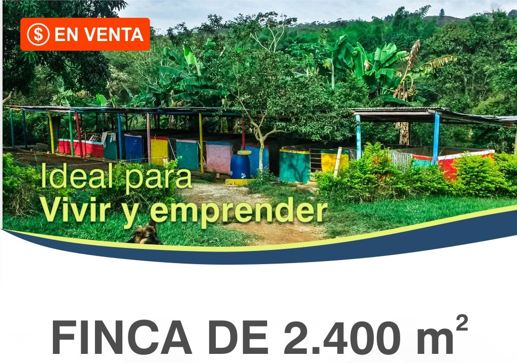 https://0201.nccdn.net/1_2/000/000/117/05e/flyer-finca-jaguito-v1---copia-1018x716.jpg