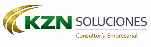 Consultoría Empresarial– KZN Soluciones – Ciudad de México