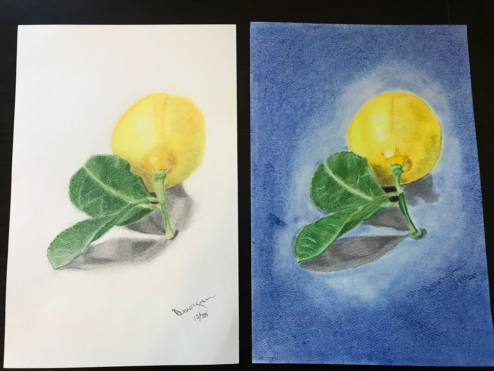 Lemon Comparison - Pastel/Colored Pencil