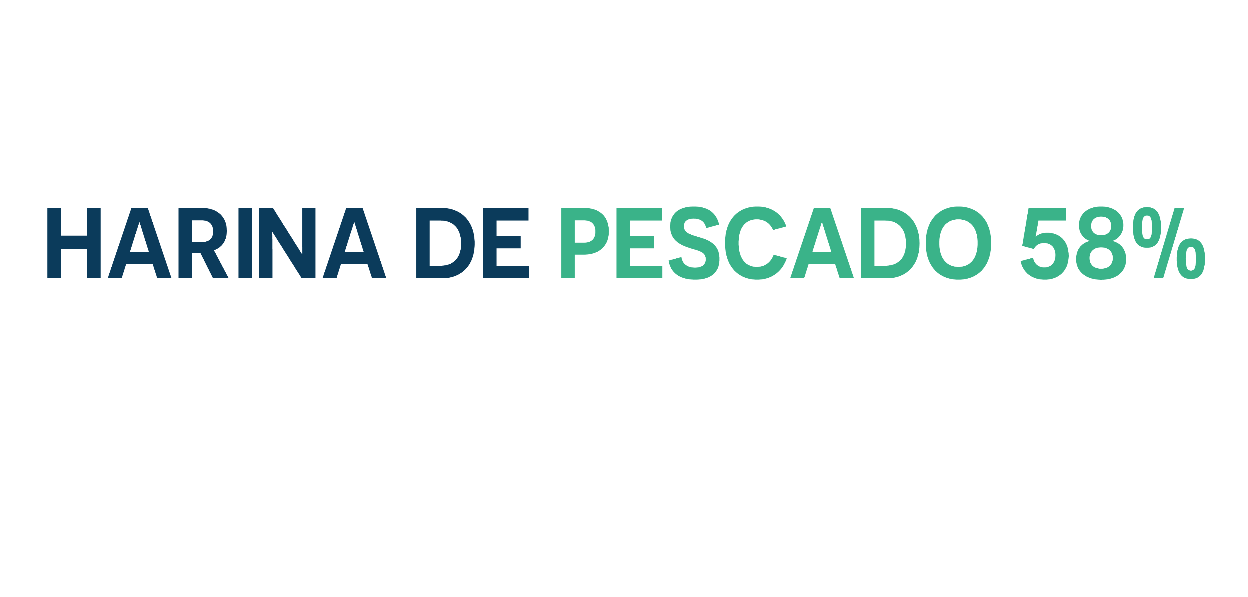 https://0201.nccdn.net/1_2/000/000/117/3e2/logos_2025-04.png