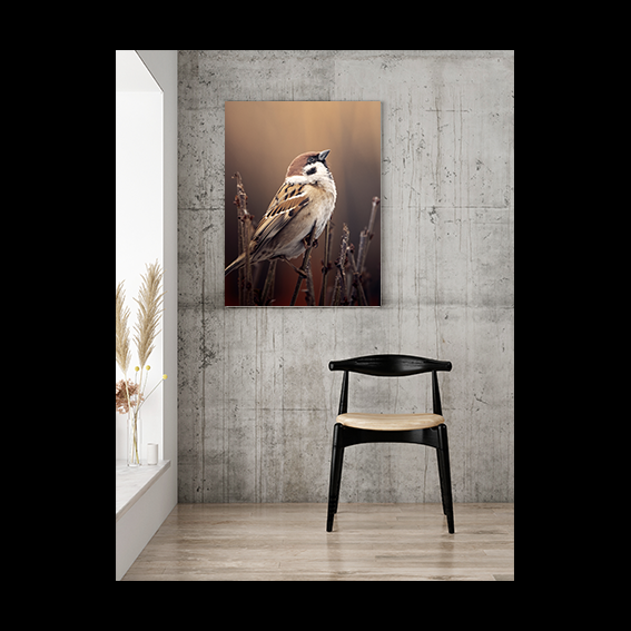 Quadro Pássaro 1 | Impressão Digital UV | Fotografia