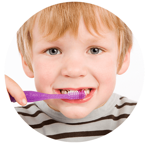 Grupo Empresarial Comercializador S.A. de C.V.   - productos dentales