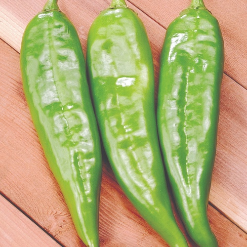 Pepper Sahuaro Pepper Sahuaro
