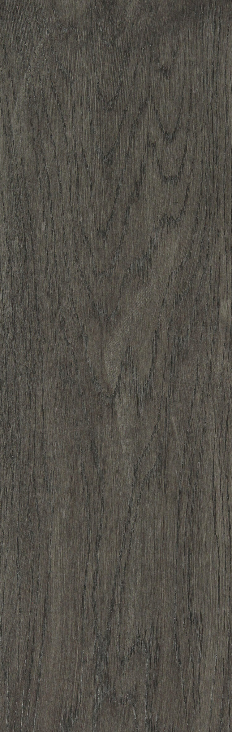 ANTHRACITE OAK 
TMLO10-AONV