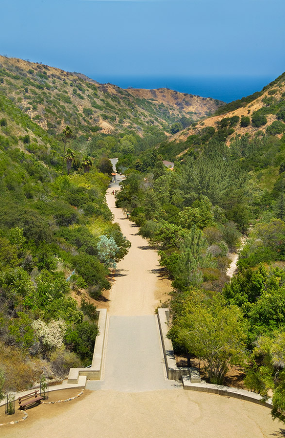 https://0201.nccdn.net/1_2/000/000/118/196/03-wrigley-botanical-gardens-catalina-island.jpg