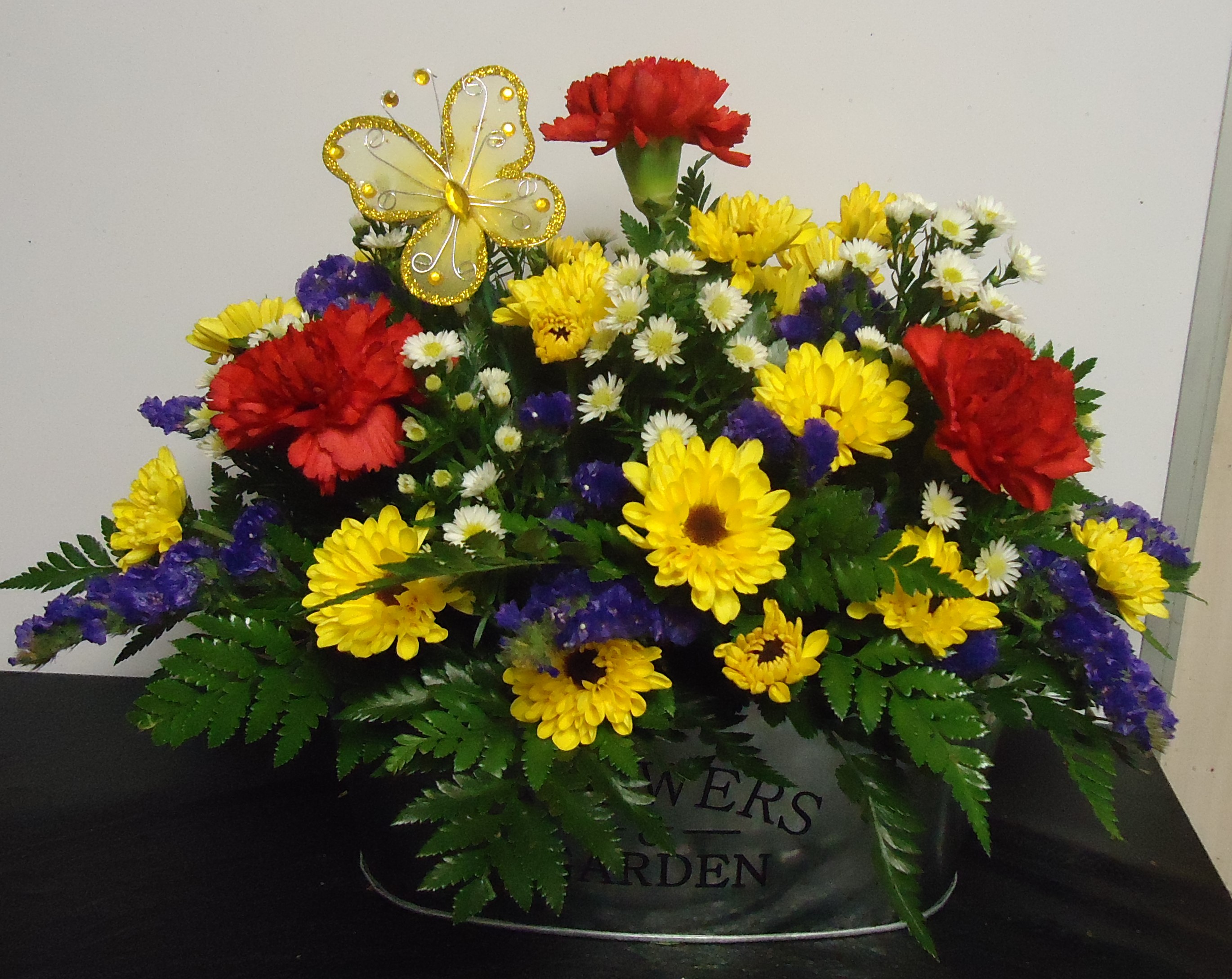 (3) "Fresh" Mix Planter
$50.00
(Colors May Vary)