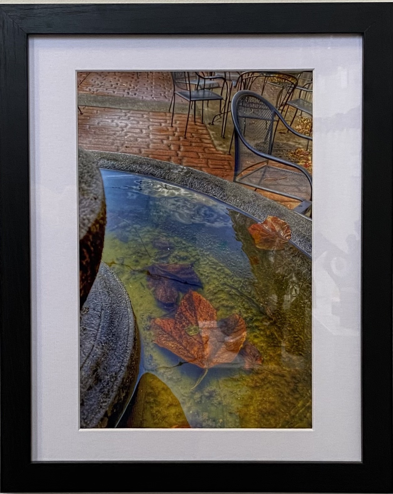 Reflections
Photography
8" X 10"
$95.