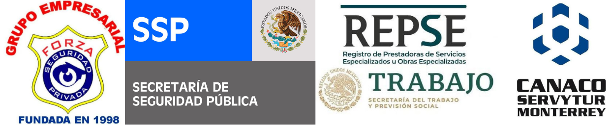 GRUPO EMPRESARIAL FORZA 