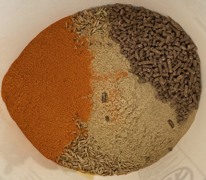 Horse Feed
