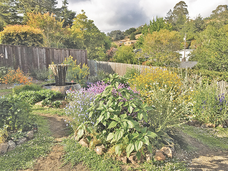 Sign Up To Tour The Native Gardens