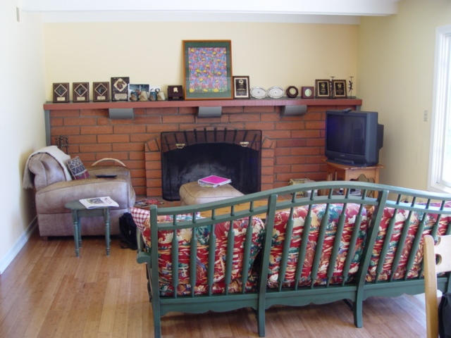 BEFORE - Equestrian family room feature wall.
