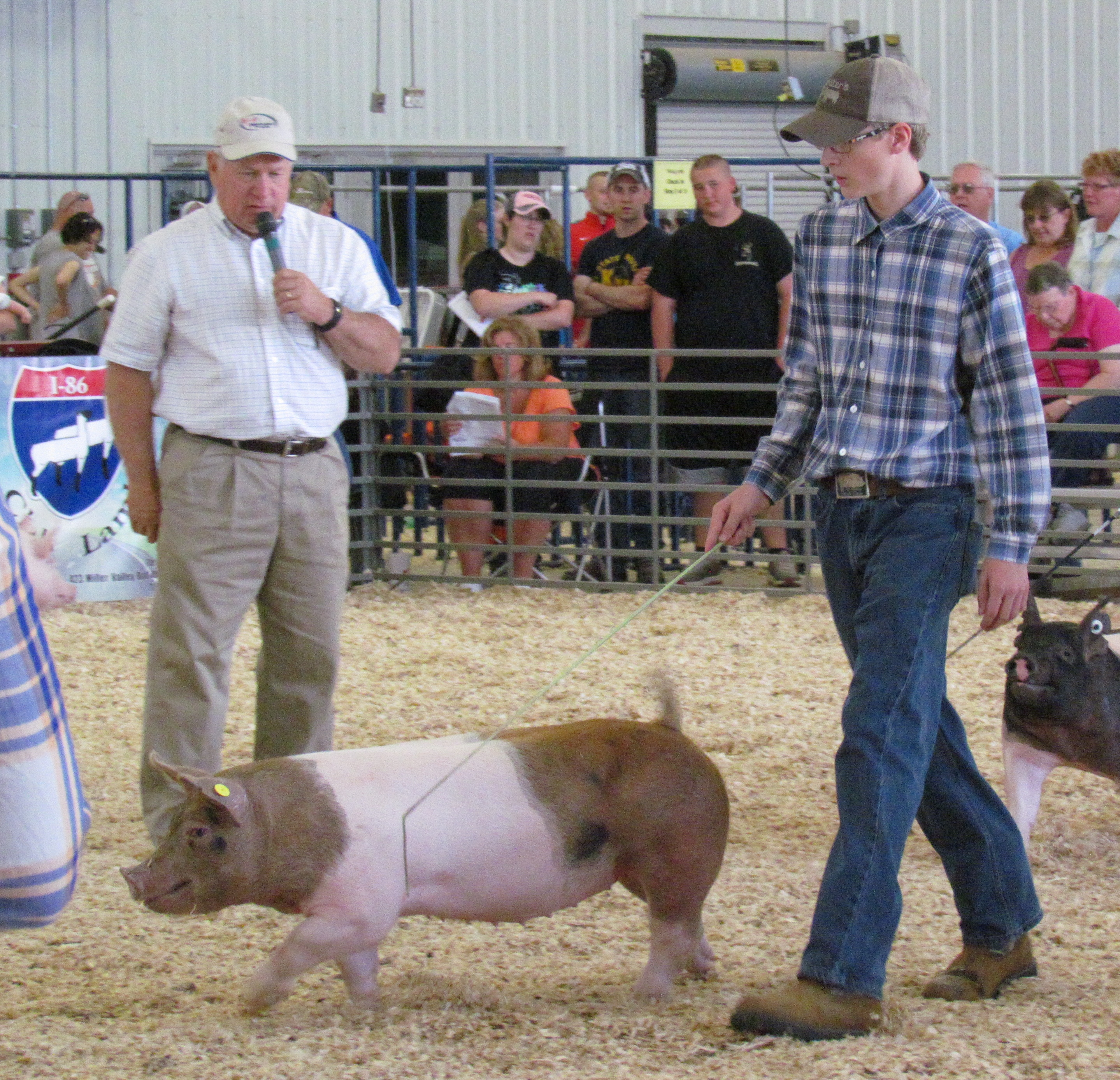 Mertz Family
Western New York Hog & Lamb Preview Classic:
Show 1 - 2nd, 5th and 7th in class
Show 2 - 3rd, 4th and 7th in class