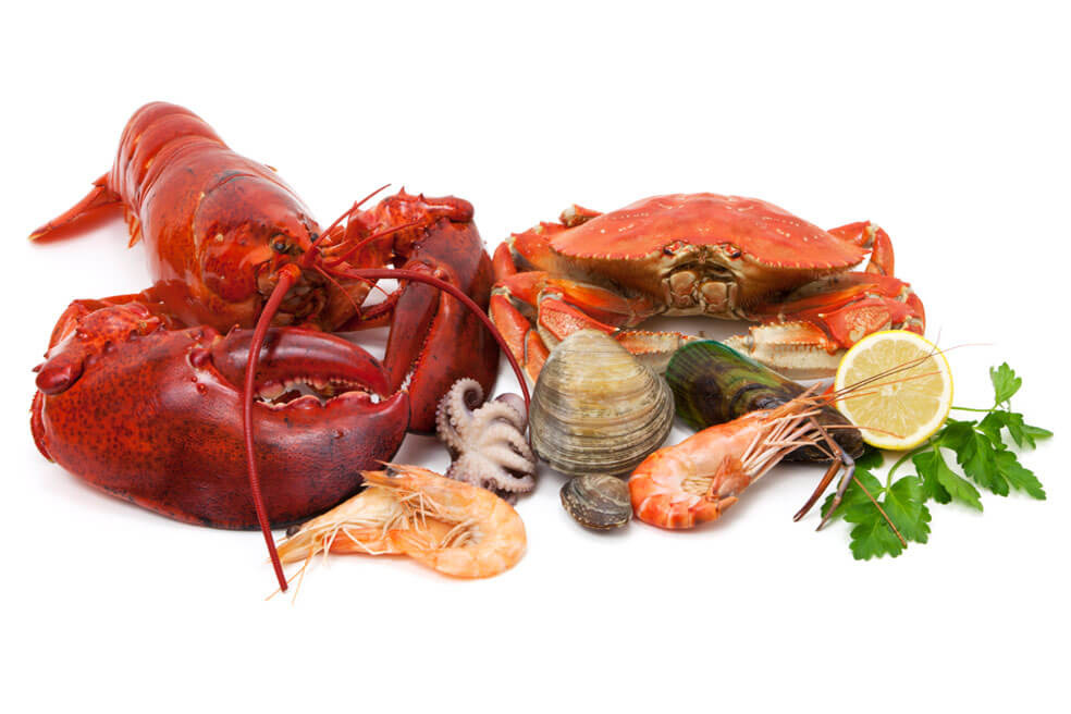 Freddie Avila, Pesca de Camarón y Mariscos SA de CV - MARISCOS