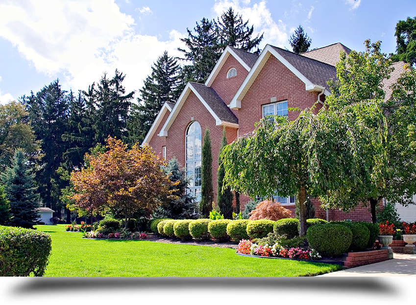 Diverse landscaping services||||