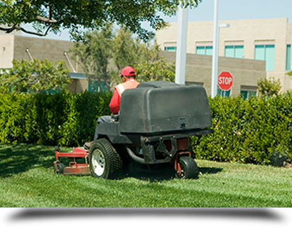Large scale lawn mowing||||