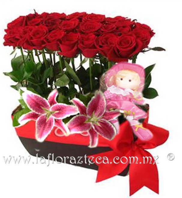 LFA-304
Precio $1,690