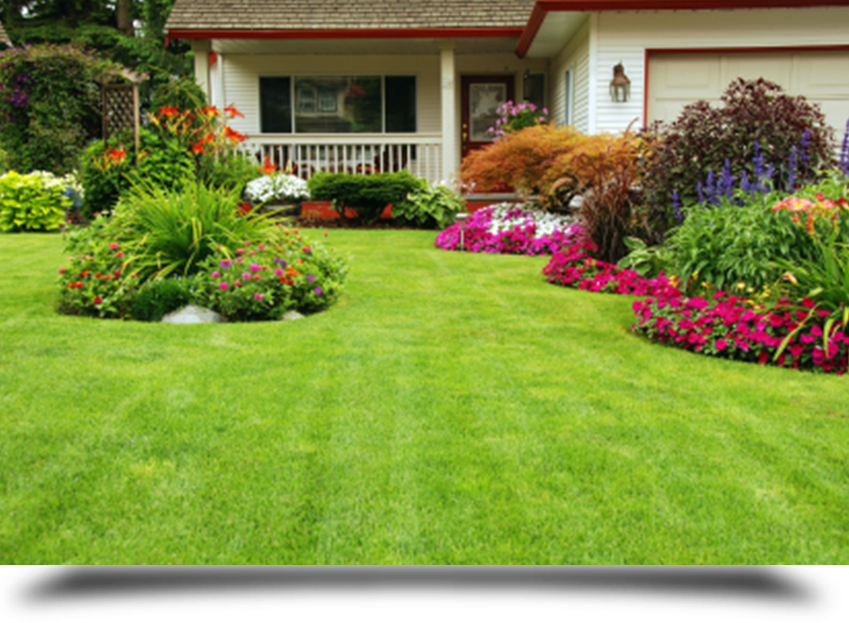 Lawn care projects||||