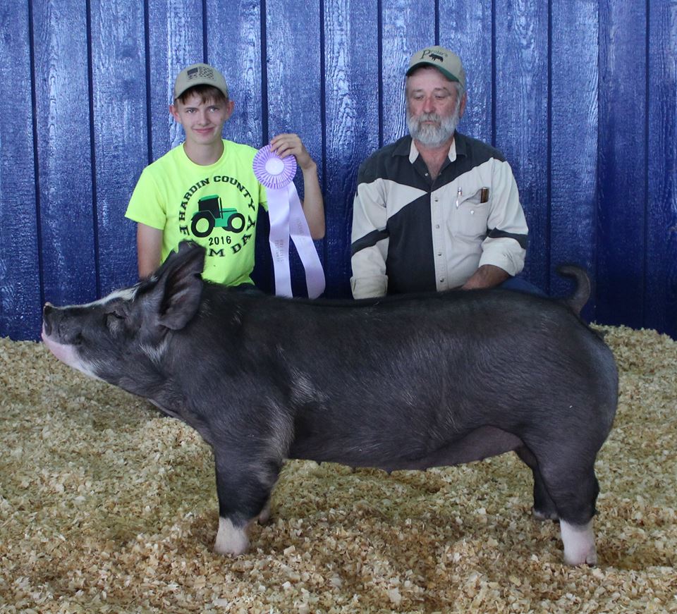 Will Derryberry
2017 Tennessee State Fair
Reserve Champion Berkshire Gilt