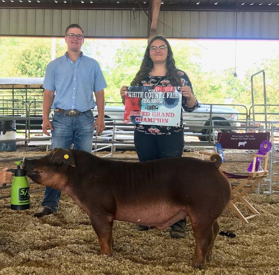 Alexis Mears
2021 White County Fair
Duroc Champion Barrow
Supreme Purebred Barrow
