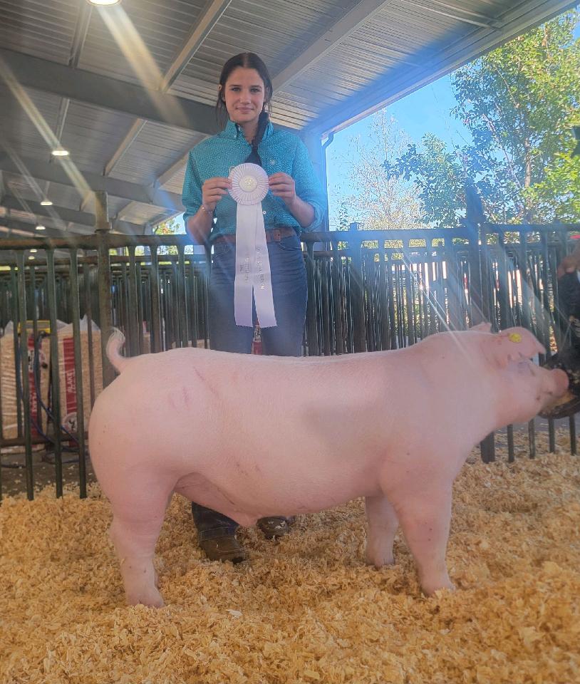 Cara Roach
2024 Nashville Fair
Champion Chester White Barrow 
3rd Overall Barrow