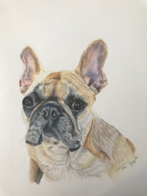 Jazzy III
9x12
Hot Press Watercolor Paper