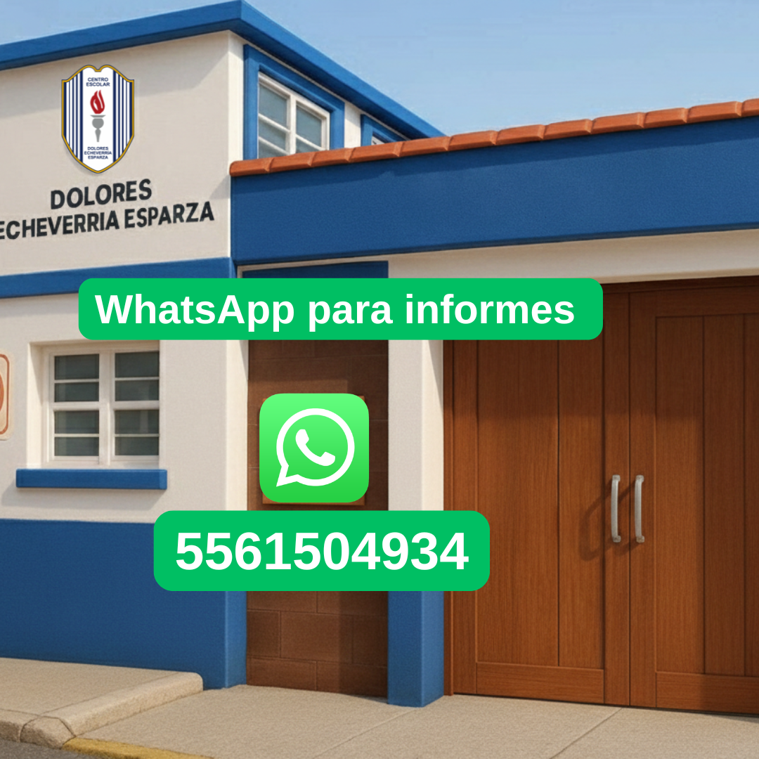 https://0201.nccdn.net/1_2/000/000/119/ea0/whatsapp.png