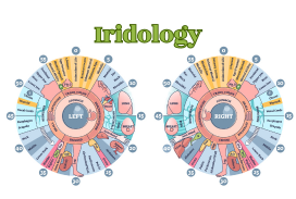 IRIDOLOGY