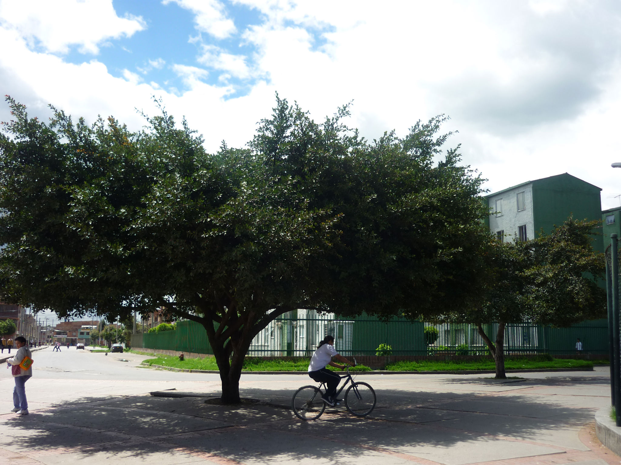 Red car in front of a sea landscape