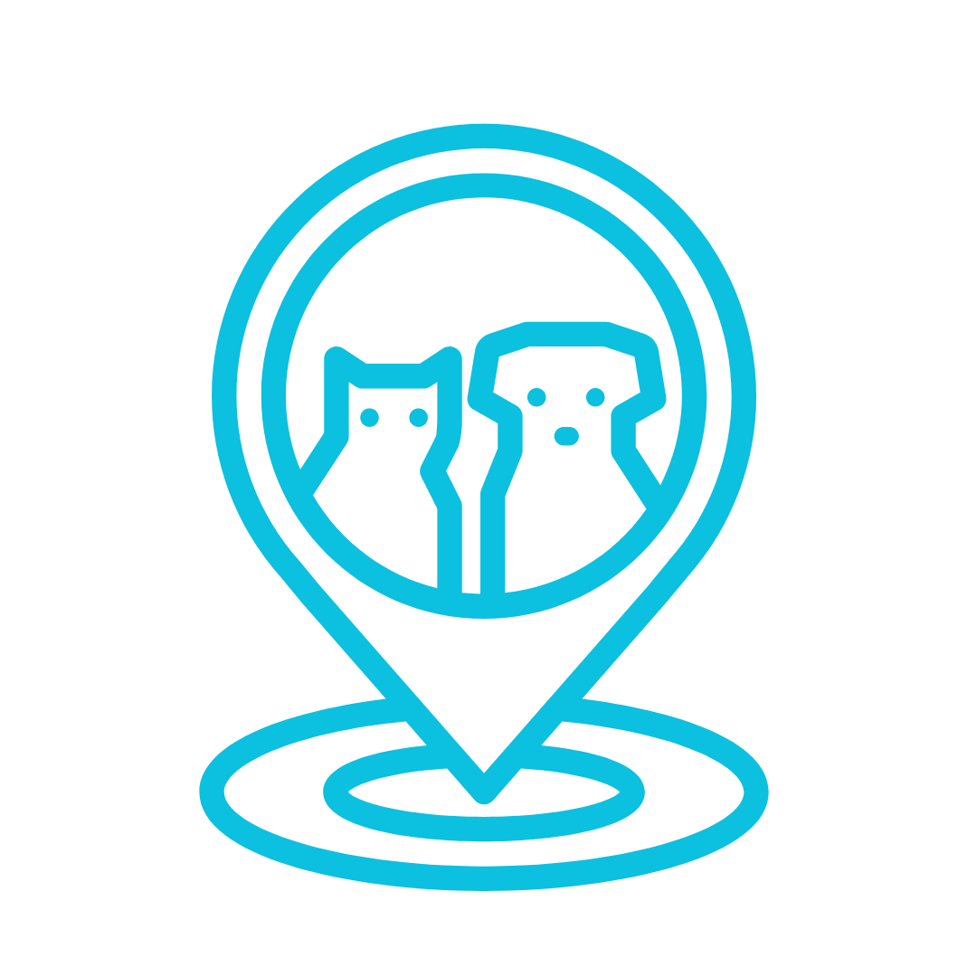 Ícono del enlace