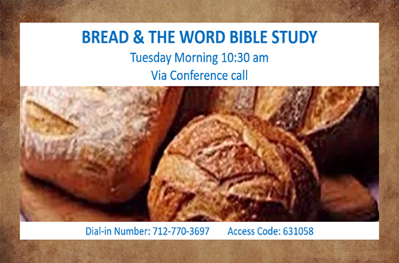 The Word Bible Study