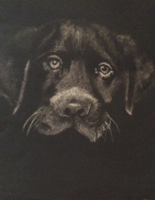 Black Lab - Black on White