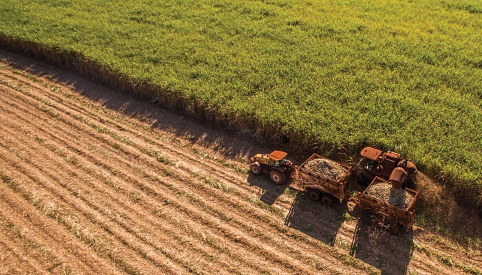 Asociación Agrícola Local de Valle de Santiago - Asesorías