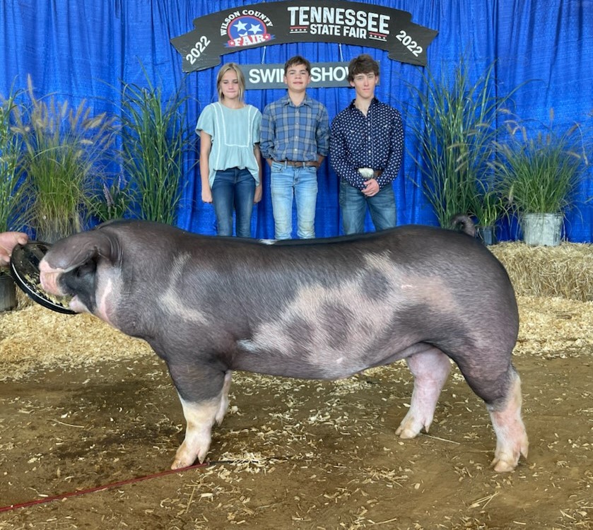 Nathan and Cara Roach
2022 Tennessee State Fair
Reserve Champion Spot Gilt
 Open Show
Reserve Champion TN Bred Spot Gilt