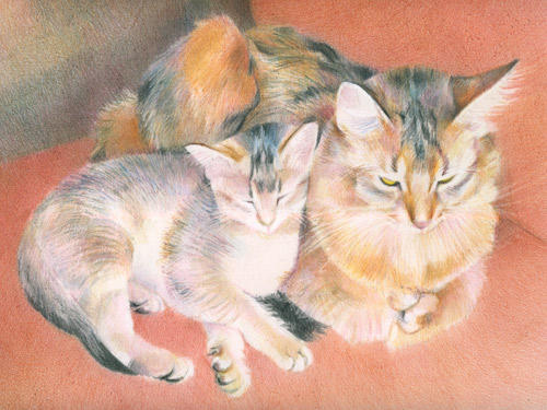 The Kittie Sitter (9" x 12" coloured pencils) £275