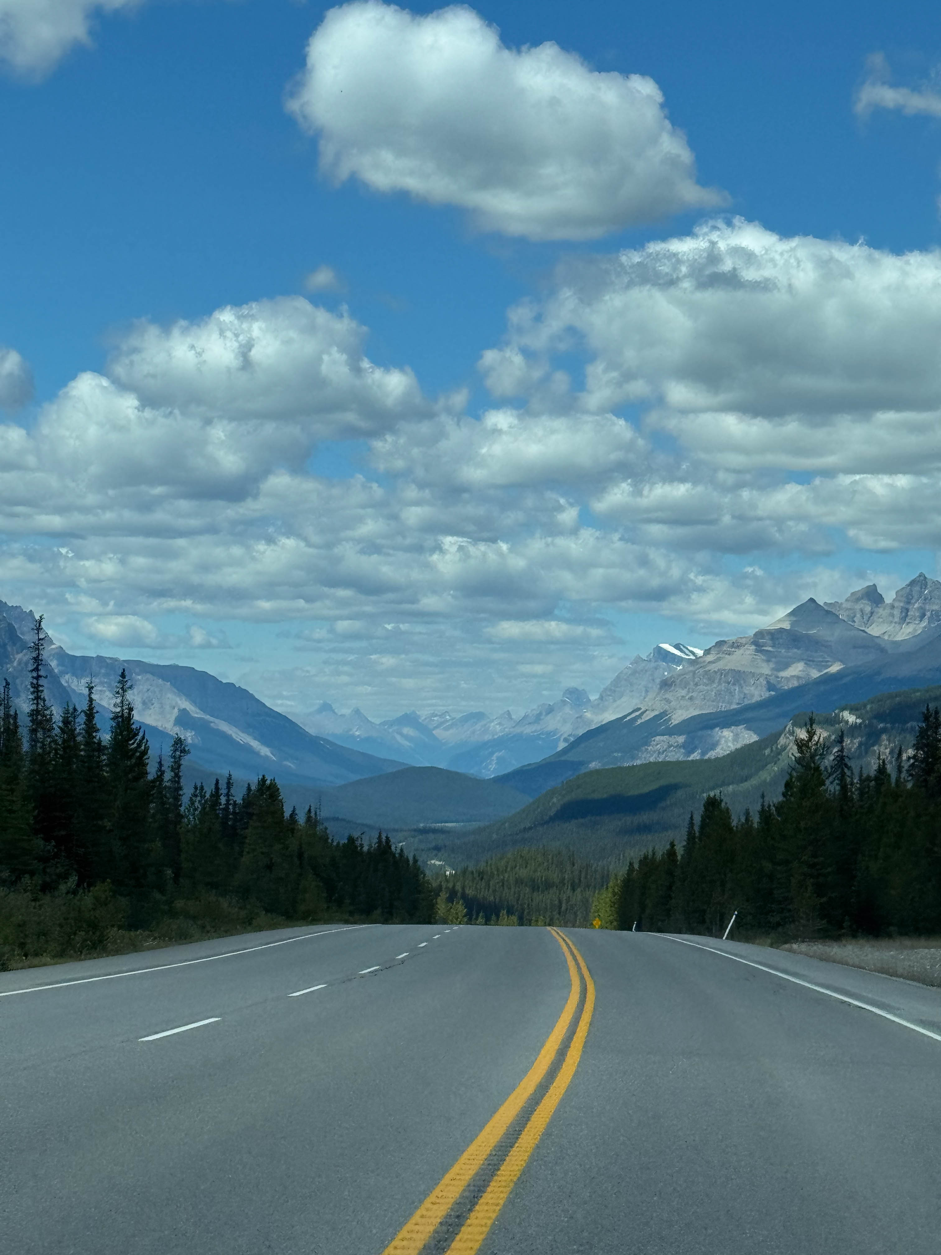 https://0201.nccdn.net/1_2/000/000/11b/954/calgary-order-198.jpg