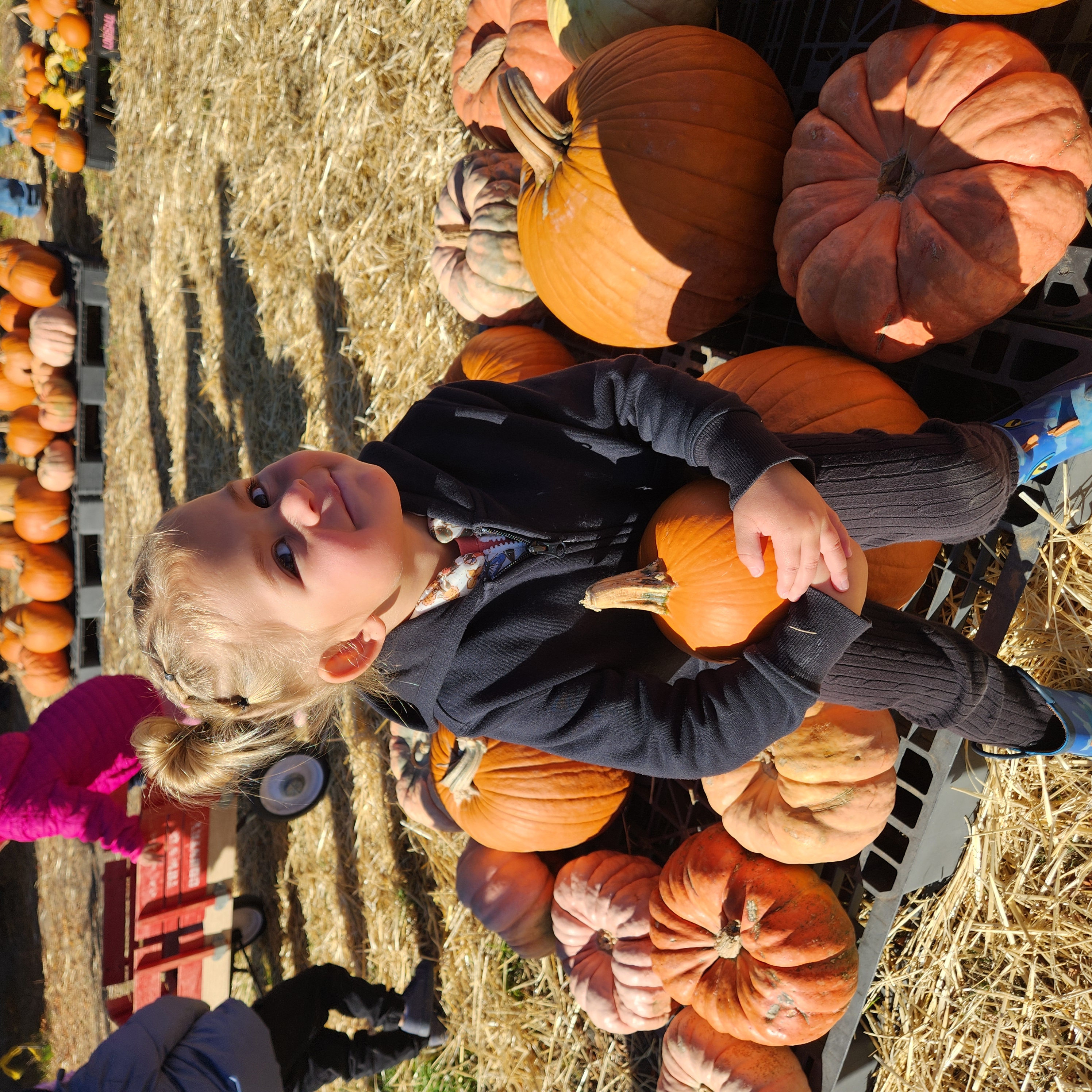 Education and Training