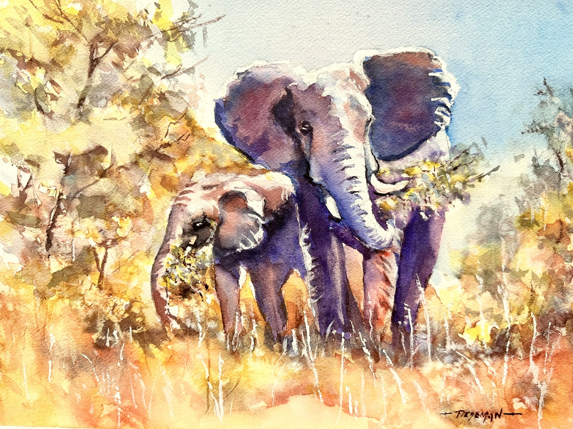 https://0201.nccdn.net/1_2/000/000/11c/8a3/elephants.jpg