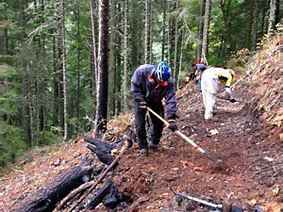 https://0201.nccdn.net/1_2/000/000/11c/f97/TRAIL-MAINTENANCE-I-283x212.jpg
