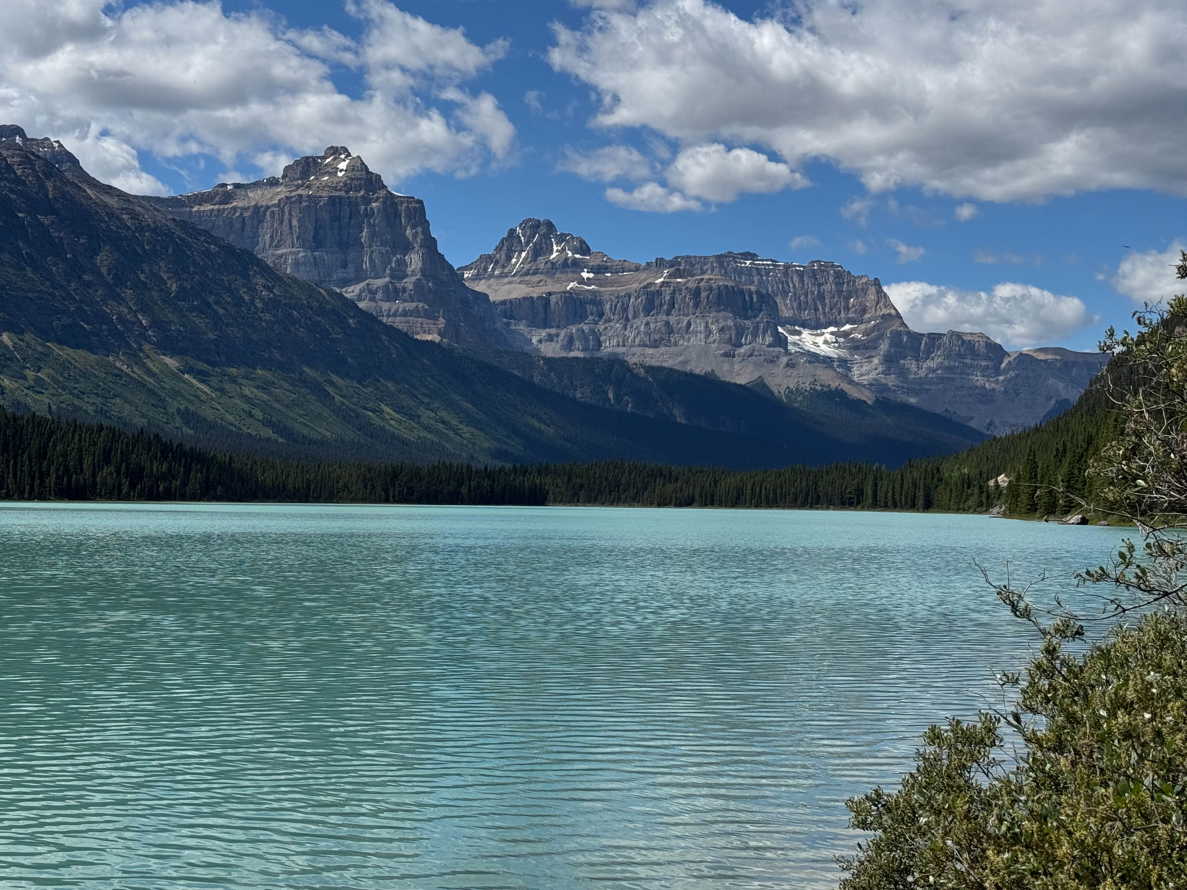 https://0201.nccdn.net/1_2/000/000/11d/2dd/calgary-order-205.jpg