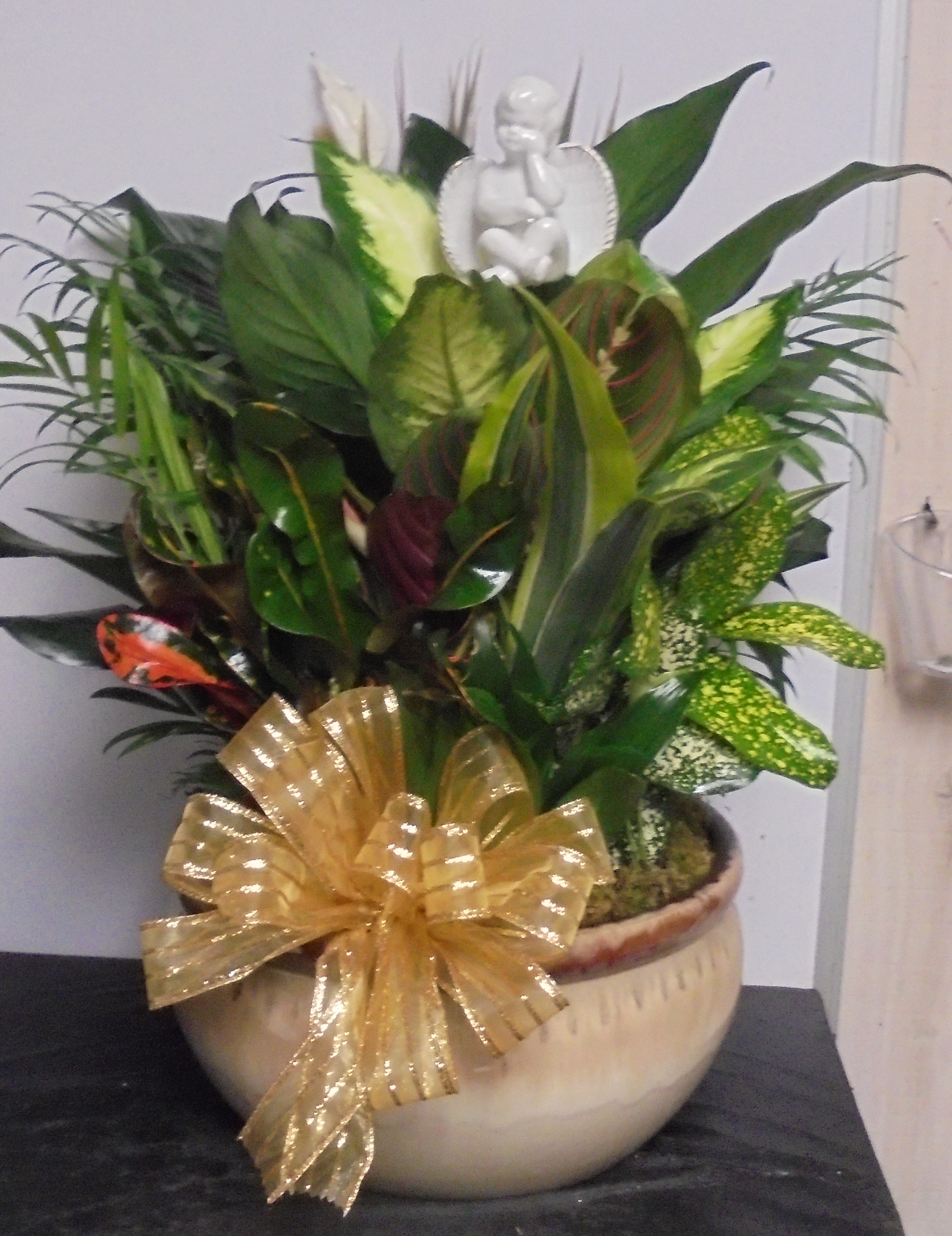 (SORRY OUT OF STOCK!!)
(9) Dish-Garden Plant (Ceramic)
W/ Angel
$100.00