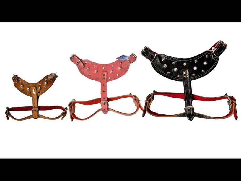 PECHERA PIEL COLORES C/ PICOS